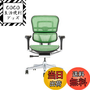 �y���������z�G���S�q���[�}��2(Ergohuman2) �I�t�B�X�`�F�A �F�F�t���[��:BLACK / ���b�V��:GREEN�A�T�C�Y�F���[�^�C�v