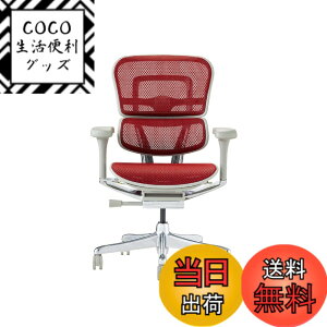 �y���������z�G���S�q���[�}��2(Ergohuman2) �I�t�B�X�`�F�A �F�F�t���[��:GRAY / ���b�V��:RED�A�T�C�Y�F���[�^�C�v