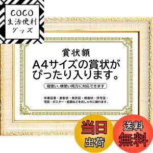 �y���������z�܏�z�� ���� �t�H�g�t���[�� �ʐ^���� �ʐ^���� A4�EA3�T�C�Y �Ǌ|�� �c���Ή� �񂹏��� ���J�� �F�菑 ���ӏ� �C���� ���Ə؏� �\����z�������� �u���C�_�� �|�X�^�[ �Ƒ���