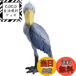 ���i�摜