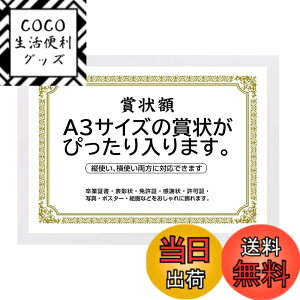 �y���������z�܏�z�� ���� �t�H�g�t���[�� �ʐ^���� �ʐ^���� A4�EA3�T�C�Y �Ǌ|�� �c���Ή� �񂹏��� ���J�� �F�菑 ���ӏ� �C���� ���Ə؏� �\����z�������� �u���C�_�� �|�X�^�[ �Ƒ���