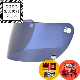 【送料無料】リード工業(LEAD) オプション RX-100R用 色：スモーク、サイズ：Free Size