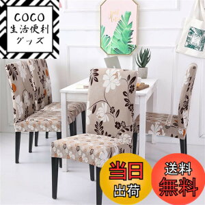 �y���������z[�j���[�o�����X] �X�j�[�J�[ WL373 B ���f�B�[�X �F�F�O���[�A�T�C�Y�F23.5 cm