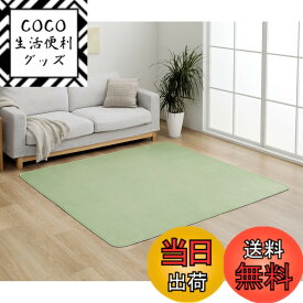 【送料無料】イケヒコ ラグ カーペット マット カバー 無地 シンプル フランネル 抗菌防臭効果 色：スカイグリーン、サイズ：200 x 300 cm (長方形)