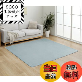 【送料無料】イケヒコ ラグ カーペット マット カバー 無地 シンプル フランネル 抗菌防臭効果 色：パウダーブルー、サイズ：200 x 300 cm (長方形)