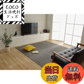 【送料無料】イケヒコ ラグ カーペット 洗える 撥水 モデルノ 色：グレー、サイズ：200 x 300 cm (長方形)