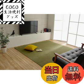 【送料無料】イケヒコ ラグ カーペット 洗える 撥水 モデルノ 色：グリーン、サイズ：200 x 300 cm (長方形)