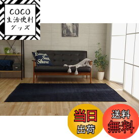 【送料無料】イケヒコ ラグ カーペット 洗える 撥水 モデルノ 色：ブルー、サイズ：200 x 300 cm (長方形)