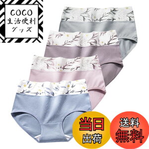 �y���������z[xreisi] ���f�B�[�X �V���[�c �� 1���Z�b�g4���Z�b�g 5���Z�b�g ���M�����[�V���[�c �p���c ���`�E�� �E����ɂ��� �E �ʋC�� ���K �E���킢�� ���� ���� �F�FXR-6102 / �V���[�c4��