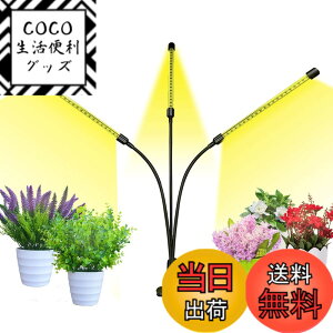 �y���������zbseah�����A���p�������C�g�A�S���X�y�N�g��LED�������C�g �F�F�u���b�N�A�T�C�Y�F�O�[1pcs