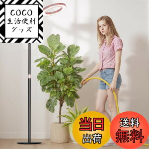 �y���������zbseah�����A���������A�S�X�y�N�g�������������A3��ނ̃��[�h��10���̒��� �F�F�u���b�N�A�T�C�Y�F��^-��