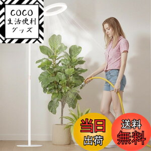 �y���������zbseah�����A���������A�S�X�y�N�g�������������A3��ނ̃��[�h��10���̒��� �F�F�z���C�g�A�T�C�Y�F��^-��