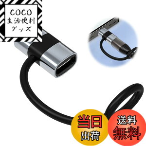 �y���������zlightning usb-c �ϊ��A�_�v�^ typec lightning �ϊ� 2���� ���@��Ή� USB-C����/iPad/iPhone 60W PD�����[�d �M�ی�݌v �[�d&�����\ �ő�480Mbps�]�����x �A���~����➑� �F�F���C�g�j���O