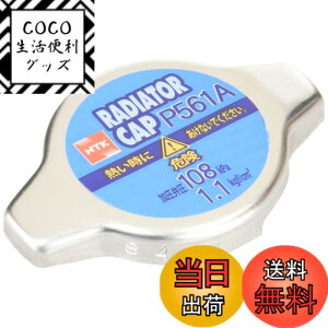 �y���������z���{���ꓩ��(NGK) ���W�G�[�^�[�L���b�v�V���[�Y �F�F�V���o�[�A�T�C�Y�F108kPa[1.1kg/cm2]