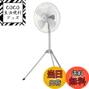 �y���������z�L�d(KODEN)�A���~�H���H�Ɛ� �F�F���C�g�O���C�A�T�C�Y�F�O�r�^