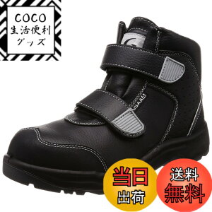 �y���������z[�W�[�f�[�W���p��] �Ód�C �ϖ� �E���^��2�w�� JSAA A��F�荇�i�i ���C�h������c 4E �n�C�J�b�g�^�C�v W1050 �F�FW1050 �u���b�N�O���[�c�[�g���A�T�C�Y�F26 cm