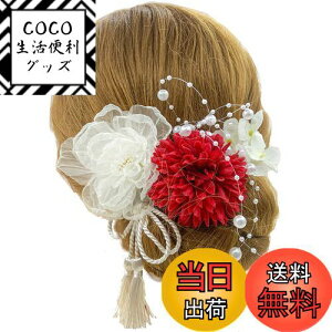 yzyJZOON z 6_Zbg wAANZT[ wACN hCt[ Us wAs    Ȍ a    VtH{̉Ԃт z F