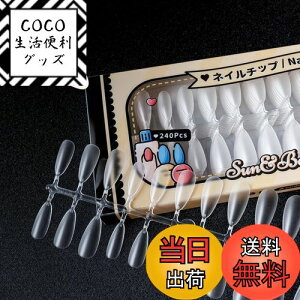 yzSun&Beam Nails lC`bv  lCp DIYp NA lC   t e [{bNXt 12TCY 504 FFOA[hATCYF15TCY