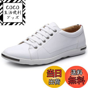 yz[Lopis] y Xj[J[ Y tFCNU[  V[Y [Jbg lC C ʋ ʊw jp  Sn FFzCgATCYF26.5 cm