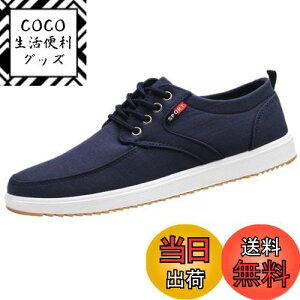 yz[Lopis] Y Xj[J[ y V[Y [Jbg JWA LoX C EH[LOV[Y  ɂ Sn FFlCr[ATCYF24.5 cm