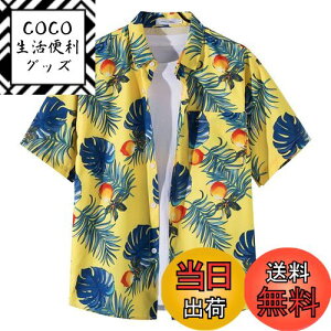 yz[Moerstar] AnVc Y 傫TCY AnVc fB[X J݃Vc  Vc Y N[  ʋC ĕ eqyAbN  rb` s C