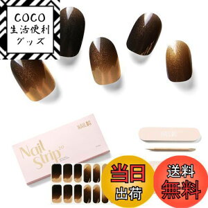 yzNAILOG dWFlCV[ (20),ATNIeB[A33mmGNXgOAlCXebJ[ AlCLbgA,YȌ򊴁AAA[gfUC F