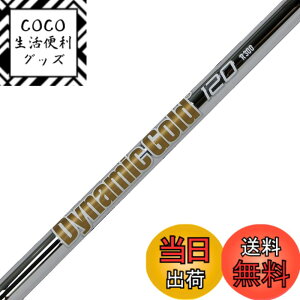 �y���������zTruetemper(�g�D���[�e���p�[) �V���t�g Dynamic Gold �_�C�i�~�b�N�S�[���h120 �A�C�A���V���t�g �Ԏ� #8 R300 Flex �P�i DG120IR8
