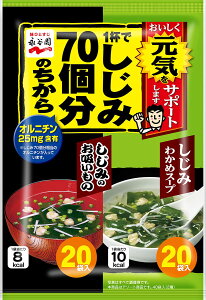 yzNagatanien iJ 1tł70̂ ݂킩߃X[v&z 160g(40H)