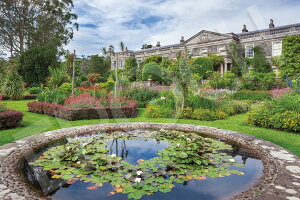 yzG|bN 1000s[X WO\[pY COi p̒뉀 }EgX`[g̃tH[}K[f (50×75cm) 09-027s ̂t wt _t EPOCH