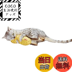 【送料無料】ペティオ(Petio) 猫用おもちゃ ひんやりけりぐるみ パイナップル