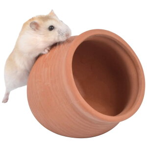 yzHIGHAWKnX^[ nEX  Q  ւ ėp B A  ΍  p xbh P[W(L)