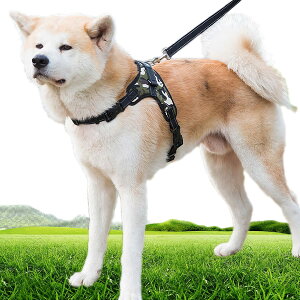 yzTAIL UP pn[lX  IbNXtH[h \tg Ȃ ʋC ߉\ h~ ^ ^ ^ Č Hc U/P/o|  (XS, J)