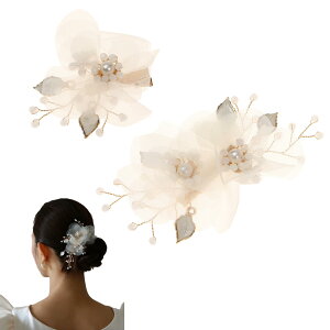 yzDeiboun    Nbv p[ 2_Zbg q l  a  wANbv \ w Ǝ čՂ  wAANZT[