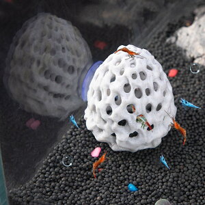 yzRefoiner Gr B  BƑE͑TSΐ zՕt̓A  _J hWE BƐ IuWF Gr ANAE  u Jiwr gJQ VF