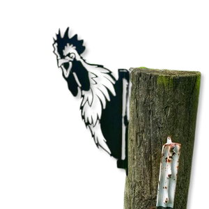 yzLezalic K[fjO u  ACAv[g IuWF |  CeA EbhfbL ({)