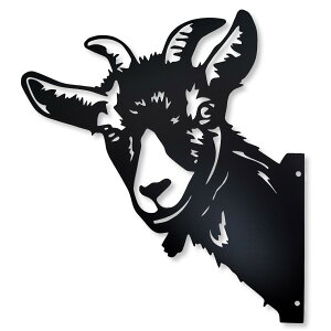 yzLezalic K[fjO u  ACAv[g IuWF |  CeA EbhfbL (M)