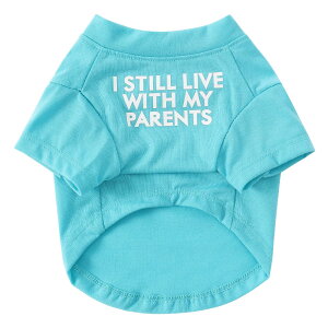 yzJimjis   ^Ngbv tďH~ ̕ ybg   L    hbOEFA m L̕ ʋC Lk U o  ѕی 