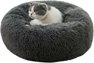 �y���������z�L �x�b�h Toyuxe �� �x�b�h �y�b�g�x�b�h �L�x�b�h �y�b�g �N�b�V���� �y�b�g�x�b�h �� �y�b�g�p�i �x�b�h �L�p�ӂ�ӂ�x�b�h �L���_���ɂȂ�x�b�h ������ �L�ӂ��ӂ��x�b�h 