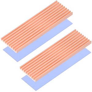 yzRaonlla  M.2 SSD q[gVN M\ 2280 M2 SSD q[gVN T[}pbht (2)