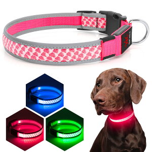 yzKpuplol LED   Cg U q  pP ^A^A^p ybgpiTPUޗ[500m悩ڎ\] ybg  S h X[ ~fBA 