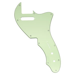 yzMusiclily Pro 11 eLX^[sbNK[hFender American 1969 Tele ThinlineGLM^[pA~gO[3P