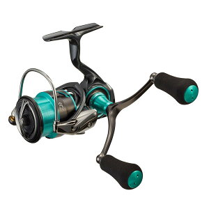 yz_C(DAIWA) 21 G_X GA FC LT2500S-DH