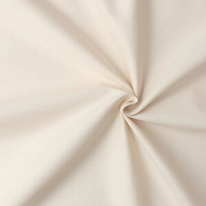 yz{Rtf(Nippon Chuko) GCeBXNGA n n 100% V[eBO Cgx[W x[Wn Ж108cm×50cmؔJbg KD4630-303-50CM