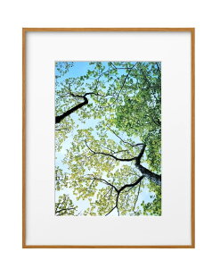 yznNo HAKUBA y z ZEROt[ G-01 A4 i` FZG01-A4NT