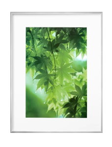 yznNo HAKUBA y z ZEROt[ G-01 A3mr Vo[ FZG01-A3NSV