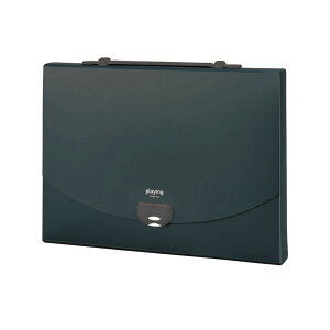 yzZLZC hLgt@C vCO 2EFCP[X A4 ubN AP-952