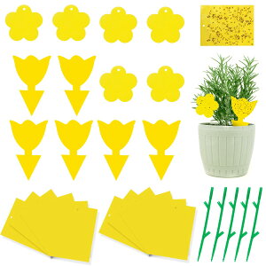 yzyBEAUTY PLAYERz SV[g ߒV[g hV[g 24 QߊlS Aؔ  gbv 悯v[g XeBbL[ Sgbv tCO XeBbL[