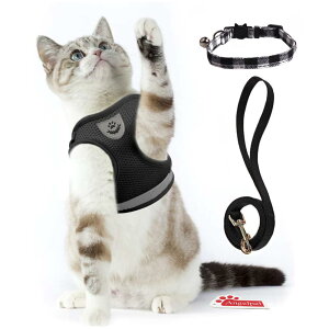 yzL Lp n[lX   Lp ^ ETM \tg [ht Ȃ 锽 bV ʋC y TCY߉\ }WbNe[v ˃XgCv