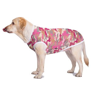 yzAmzBarley    Ђ N[xXg Vc bV ^Ngbv ڐG⊴   ʋC Lk ₷ ^ Č  hbOEFA Ăh Eѕی 