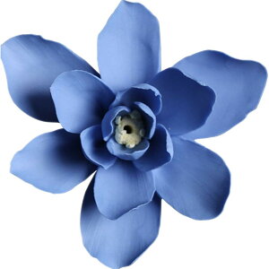 yzUmora M  XeBbN ~ c~  A} u D CeAiu[j